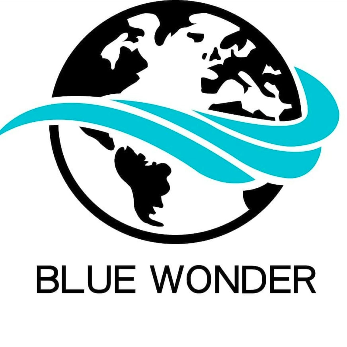 blue wonder